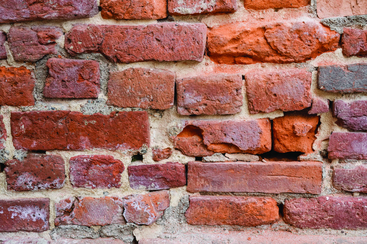 Mattoni della facciata “mangiati” dai piccioni.