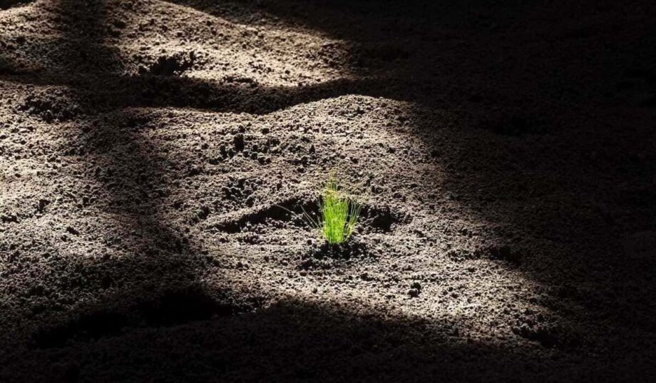 La mostra Pastorale a Palazzo Reale di Nico Vascellari.