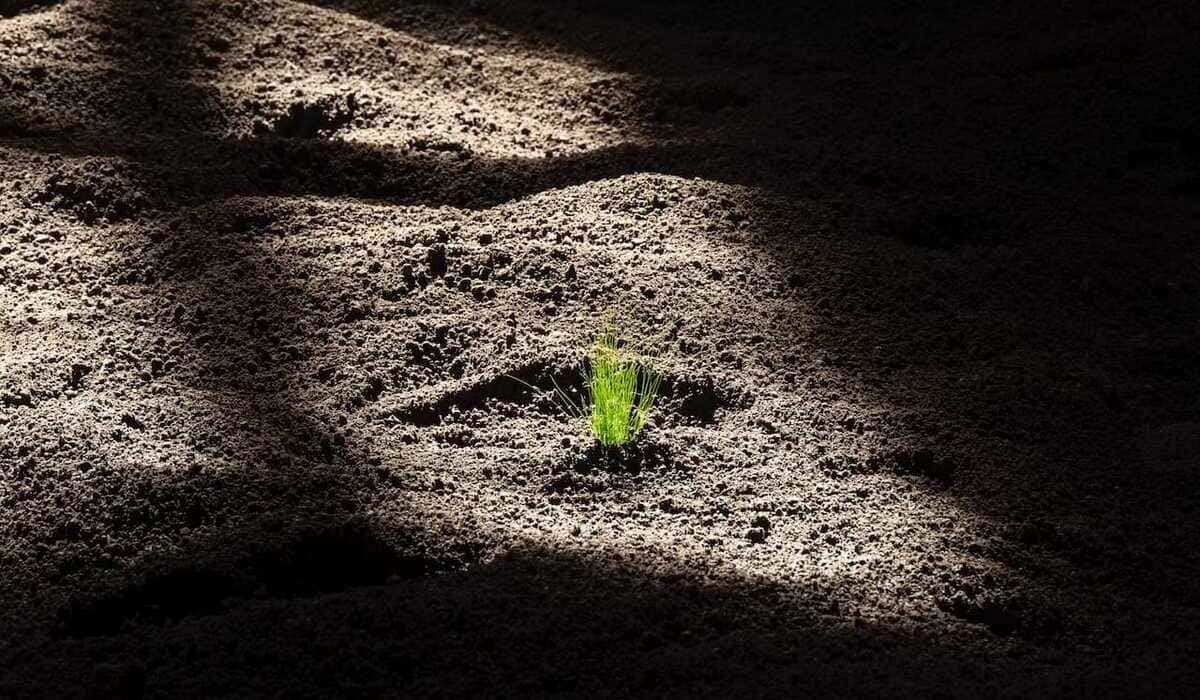 La mostra Pastorale a Palazzo Reale di Nico Vascellari.