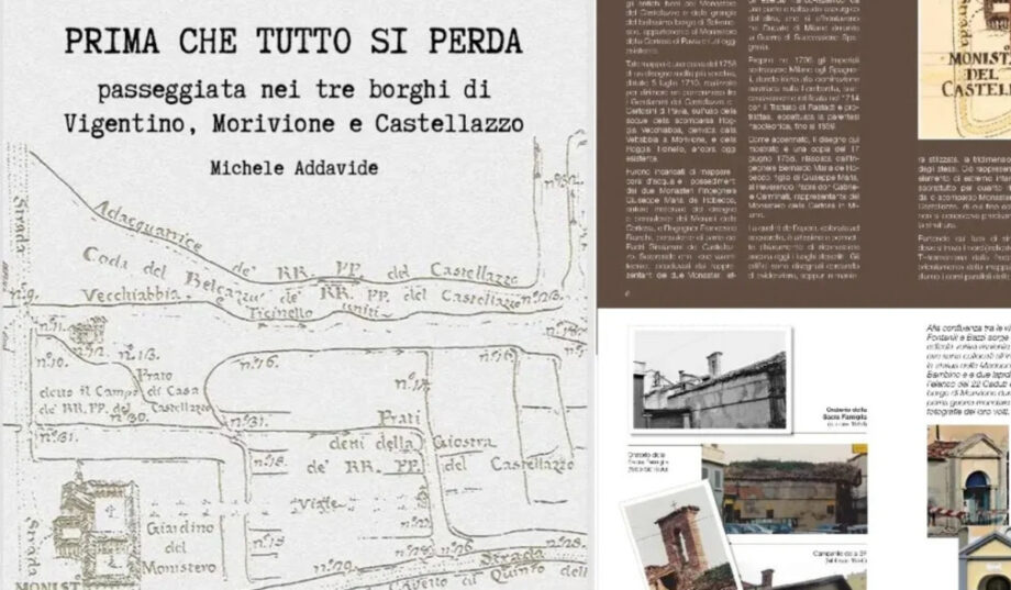 Copertina del libro Prima che tutto si perda.