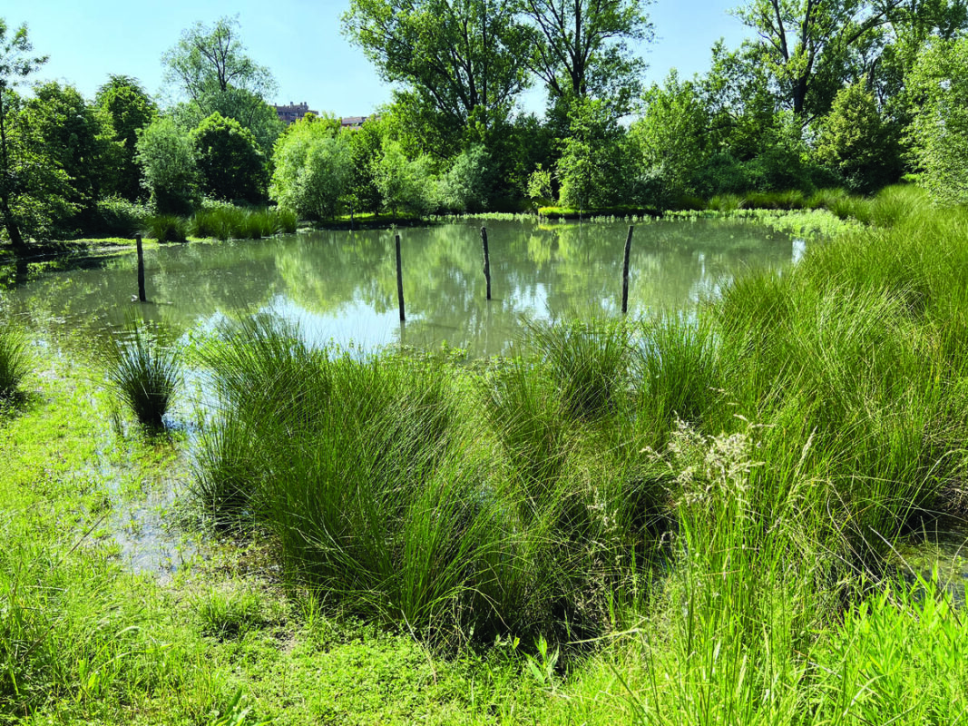 I lavori nel Parco agricolo urbano del Ticinello