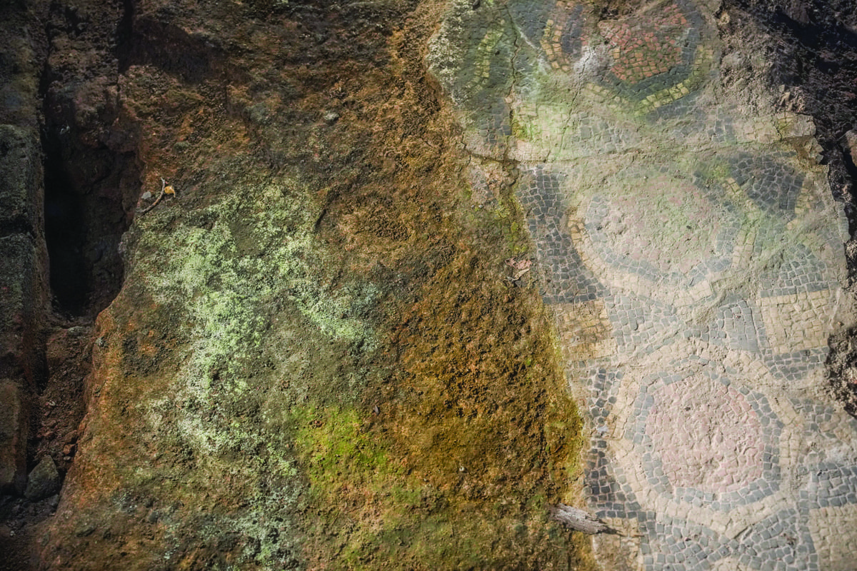 Il mosaico della domus romana che si trova sotto il pavimento sta progressivamente sparendo, ricoperto da muschi.