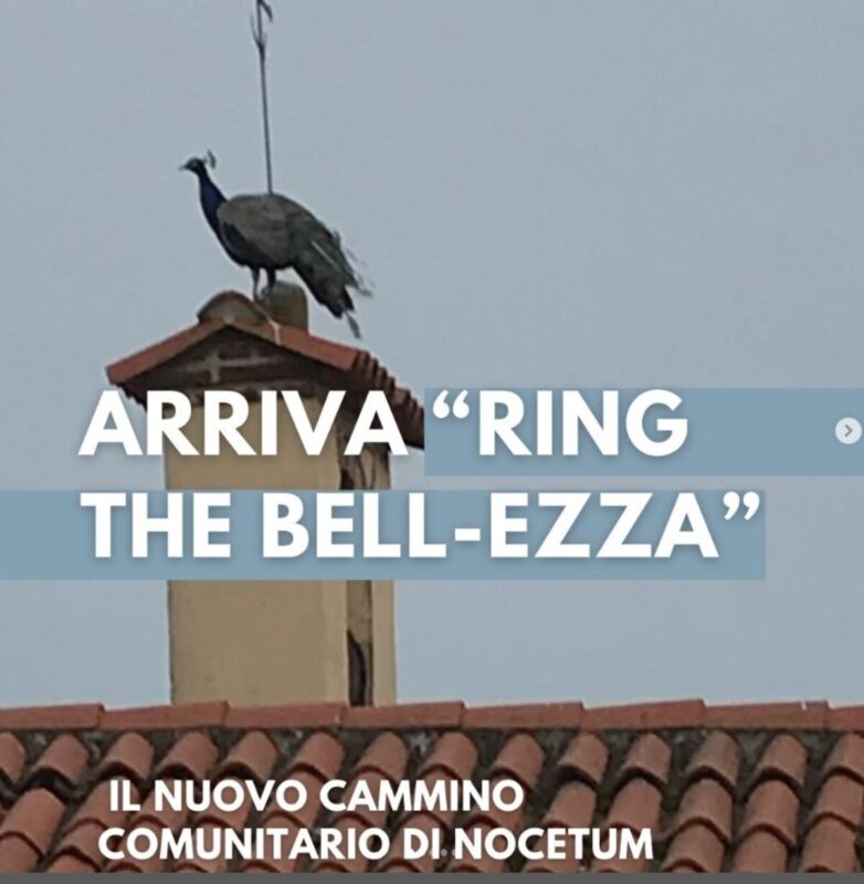 Volantino promozione progetto restauro campana di Nocetum.